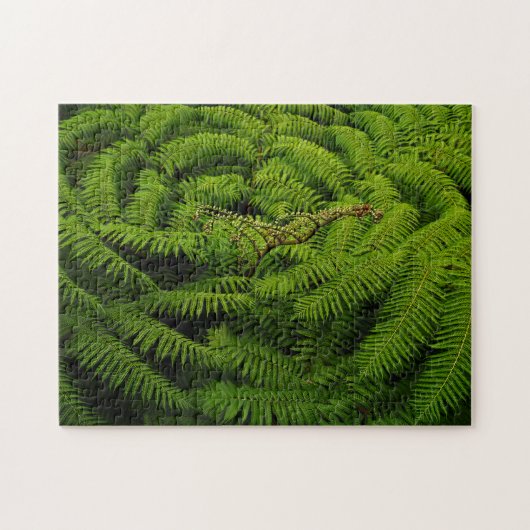 Fern-Blätter Puzzle (Horizontal)