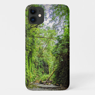 Fern Canyon Green Walls in Redwoods Nationalpark Case-Mate iPhone Hülle