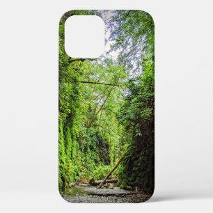 Fern Canyon Green Walls in Redwoods Nationalpark Case-Mate iPhone Hülle