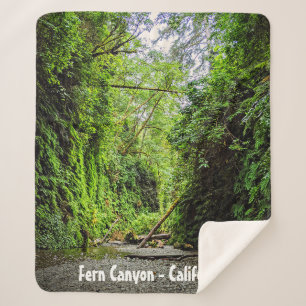 Fern Canyon Green Walls in Redwoods Nationalpark Sherpadecke