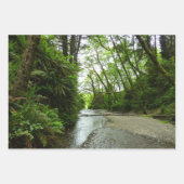 Fern Canyon I Geschenkpapier Set (Vorderseite 3)