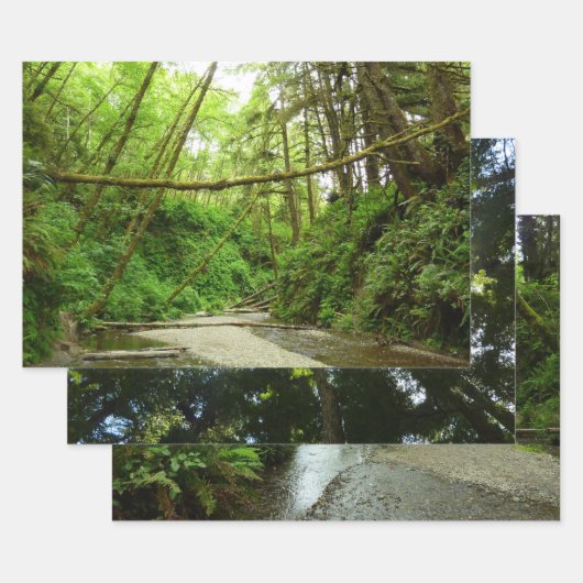 Fern Canyon I Geschenkpapier Set (Set)