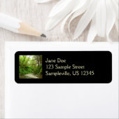 Fern Canyon I im Redwood National Park (Insitu)