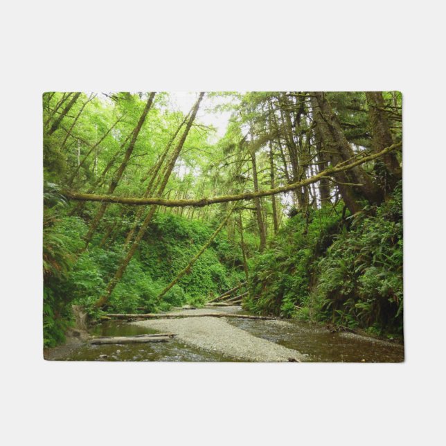 Fern Canyon I im Redwood National Park Fußmatte (Vorderseite)