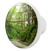 Fern Canyon I im Redwood National Park Keramikknauf (Rechts)