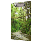 Fern Canyon I im Redwood National Park Klemmbrett (Links)