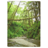 Fern Canyon I im Redwood National Park Klemmbrett (Rückseite)