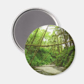 Fern Canyon I im Redwood National Park Magnet (Vorderseite/Rückseite)