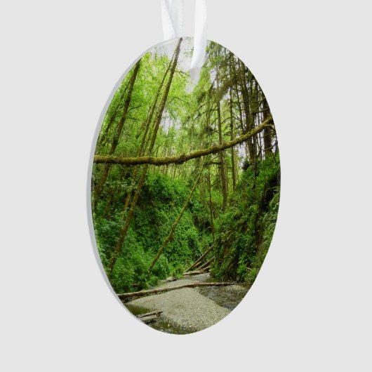 Fern Canyon I im Redwood National Park Ornament (Vorderseite)