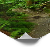 Fern Canyon I im Redwood National Park Poster (Ecke)