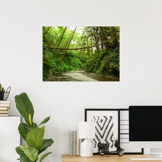 Fern Canyon I im Redwood National Park Poster (Heimbüro)