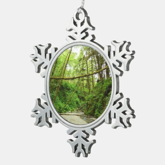 Fern Canyon I im Redwood National Park Schneeflocken Zinn-Ornament (Rechts)