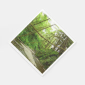 Fern Canyon I im Redwood National Park Serviette (Ecke)