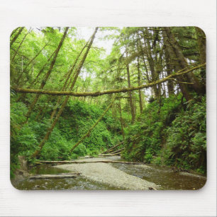 Fern Canyon I im Redwood-Nationalpark Mousepad