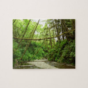 Fern Canyon I im Redwood-Nationalpark Puzzle