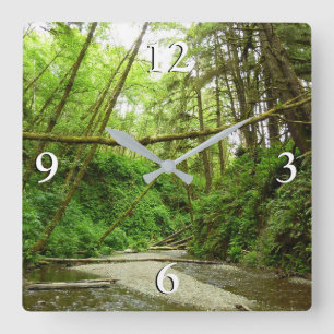 Fern Canyon I im Redwood-Nationalpark Quadratische Wanduhr