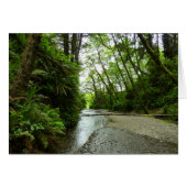 Fern Canyon II im Redwood-Nationalpark (Vorderseite (Horizontal))
