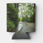 Fern Canyon II im Redwood-Nationalpark Dosenkühler (Vorderseite)