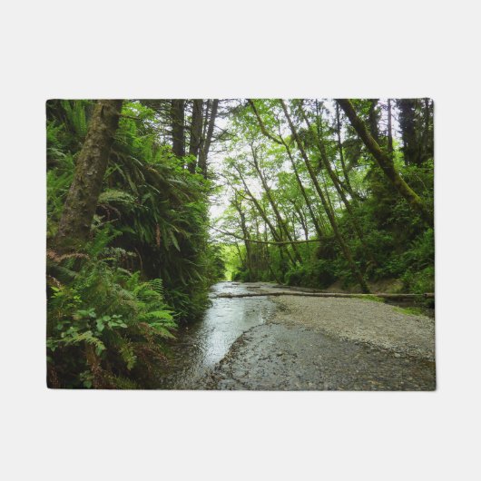 Fern Canyon II im Redwood-Nationalpark Fußmatte (Vorderseite)