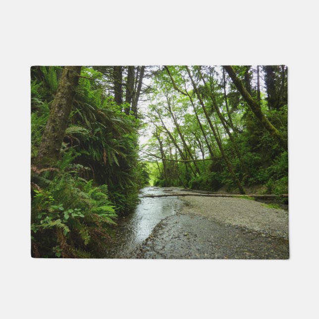 Fern Canyon II im Redwood-Nationalpark Fußmatte (Vorderseite)