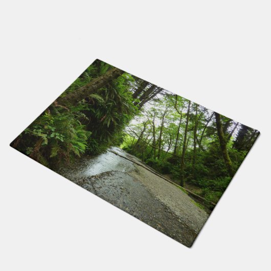 Fern Canyon II im Redwood-Nationalpark Fußmatte (Schrägansicht)