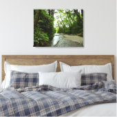 Fern Canyon II im Redwood-Nationalpark Leinwanddruck (Insitu (Schlafzimmer))
