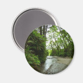 Fern Canyon II im Redwood-Nationalpark Magnet (Vorderseite/Rückseite)