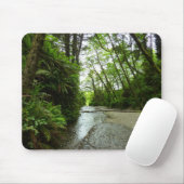 Fern Canyon II im Redwood-Nationalpark Mousepad (Mit Mouse)
