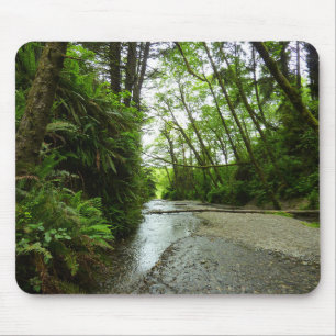 Fern Canyon II im Redwood-Nationalpark Mousepad