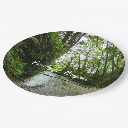 Fern Canyon II im Redwood-Nationalpark Pappteller (Schrägansicht)