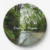 Fern Canyon II im Redwood-Nationalpark Pappteller (Vorderseite)