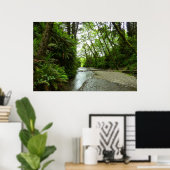 Fern Canyon II im Redwood-Nationalpark Poster (Heimbüro)