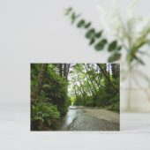 Fern Canyon II im Redwood-Nationalpark Postkarte (Stehend Vorderseite)