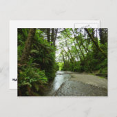 Fern Canyon II im Redwood-Nationalpark Postkarte (Vorne/Hinten)