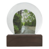 Fern Canyon II im Redwood-Nationalpark Schneekugel (Rückseite)