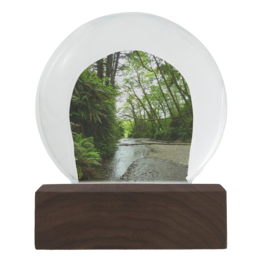 Fern Canyon II im Redwood-Nationalpark Schneekugel (Vorderseite)