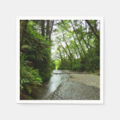 Fern Canyon II im Redwood-Nationalpark Serviette (Vorderseite)