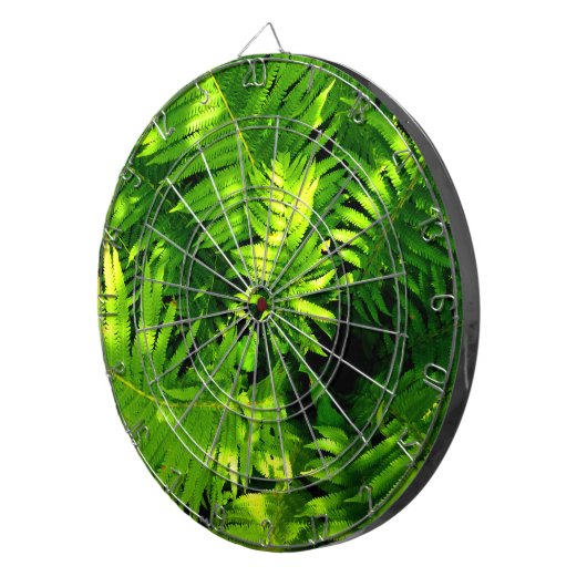 Fern Dartscheibe (Vorderseite rechts)