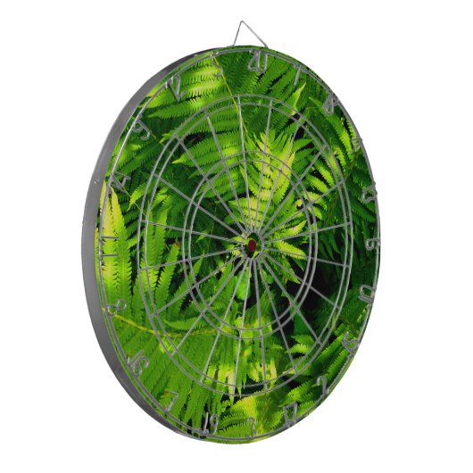 Fern Dartscheibe (Vorderseite Links)