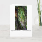 "Fern": Digital erweitertes Fern im Wald/Wald Karte (Rückseite)