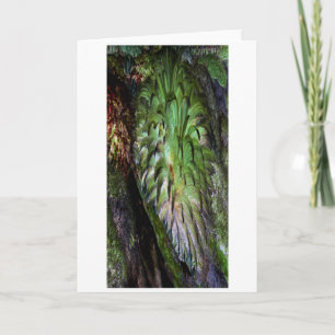 "Fern": Digital erweitertes Fern im Wald/Wald Karte