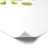 Fern Eukalyptus Hand Gezeichnet Grünpflanzen Weiße Poster (Ecke)