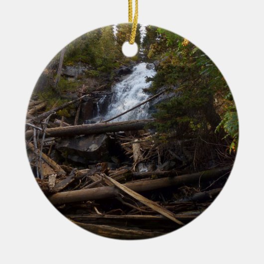 Fern Falls at Rocky Mountain National Park Keramik Ornament (Vorne)