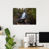 Fern Falls at Rocky Mountain National Park Poster (Heimbüro)