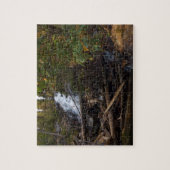 Fern Falls at Rocky Mountain National Park Puzzle (Vertikal)