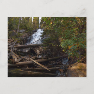 Fern Falls im Rocky Mountain National Park Postkarte
