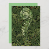 Fern Feiertagskarte (Vorne/Hinten)