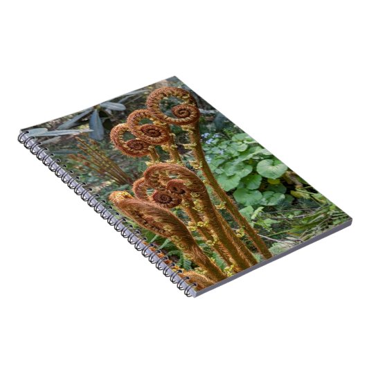 Fern Fiddleheads Botanical Notizblock (Rechte Seite)