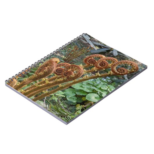 Fern Fiddleheads Botanical Notizblock (Linke Seite)