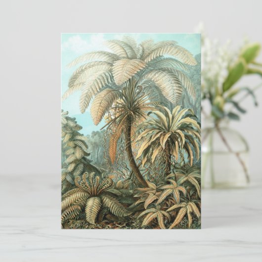 Fern (Filicinae) von Haeckel Einladung (Stehend Vorderseite)